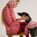 woman and greyhound in matching scarves gaze into each others eyes
